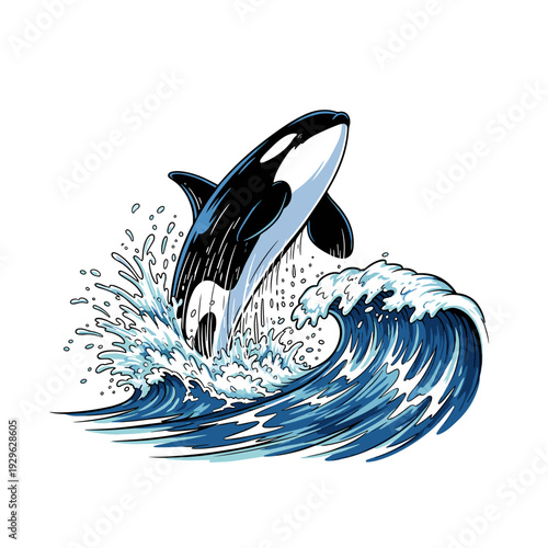 Illustration of a killer whale jumping out of a blue ocean wave