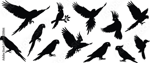 Parrot silhouette collection with cockatoo and macaw birds flying and perching isolated on white background vector illustration for nature crafts,