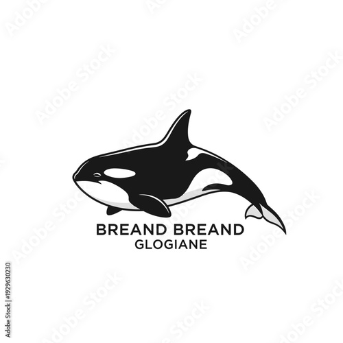 Minimalist black and white killer whale illustration logo