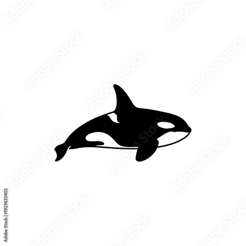 Minimalist black and white orca killer whale graphic logo design with classic text