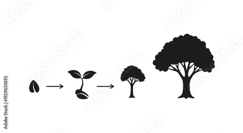 Tree Growth Stages Silhouette Illustration.
