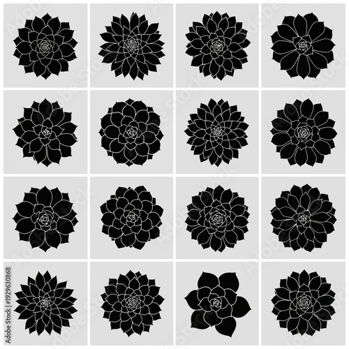Set of 16 succulent plant icons vector
