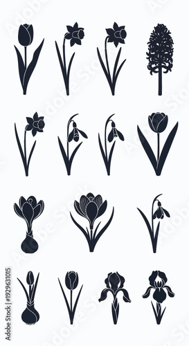 Set of 15 Spring Flowers Icons Vector