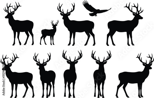 Deer silhouette set, stag wildlife animal vector collection isolated black forest hunting nature illustration design bundle