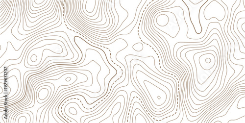 Abstract topo contour map on white background, Topographic map Topographic contour lines map seamless pattern.paper texture Imitation of a geographical map shades.