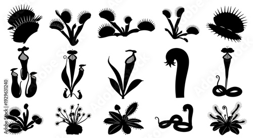 Set of 15 Carnivorous Plant Silhouettes Vector