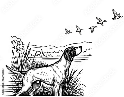 A dog points towards a flock of ducks flying over a marshy landscape