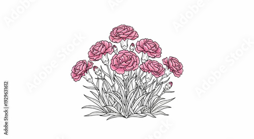 Delicate pink carnations bloom with a cluster of buds amid slender foliage