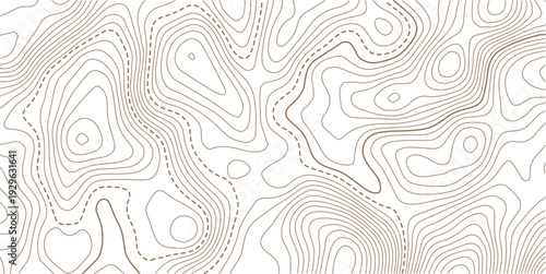 Abstract topo contour map on white background, Topographic map Topographic contour lines map seamless pattern.paper texture Imitation of a geographical map shades.