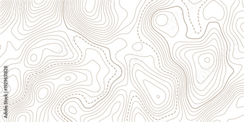 Abstract topo contour map on white background, Topographic map Topographic contour lines map seamless pattern.paper texture Imitation of a geographical map shades.