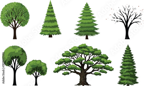 Set of various green and autumn trees, coniferous pines and deciduous plants, flat vector nature illustration isolated on white background
