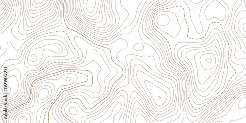 Abstract topo contour map on white background, Topographic map Topographic contour lines map seamless pattern.paper texture Imitation of a geographical map shades.