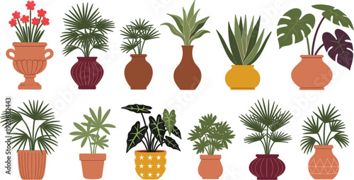Set of various indoor houseplants in ceramic pots and terracotta vases isolated on white background for interior decoration.