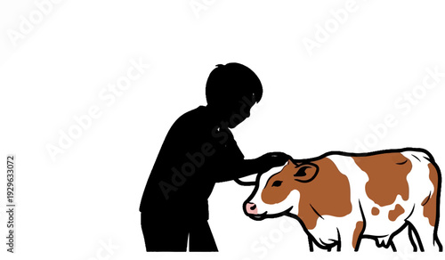 A silhouette of a person gently pets a brown and white calf