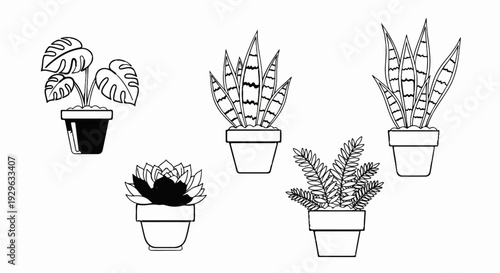 Five potted houseplants with varied foliage styles