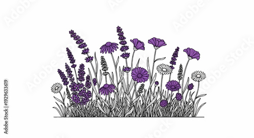 A vibrant garden border features delicate purple and white flowers, with lavender stalks