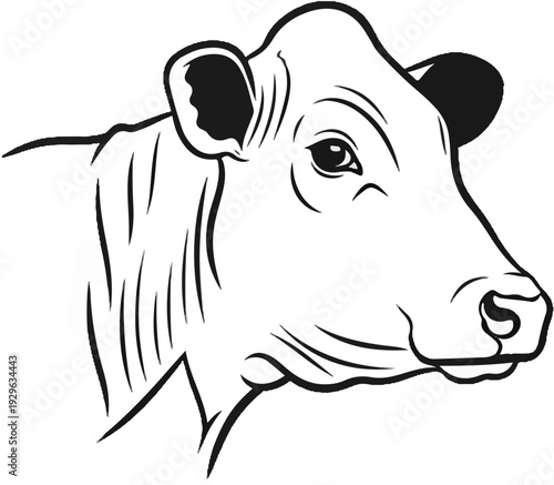 Stylized sketch of a cow's head, rendered in black ink lines on a white background