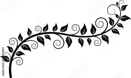 Decorative floral vine silhouette with elegant leaves and swirling branches forming botanical ornament border design isolated on white background