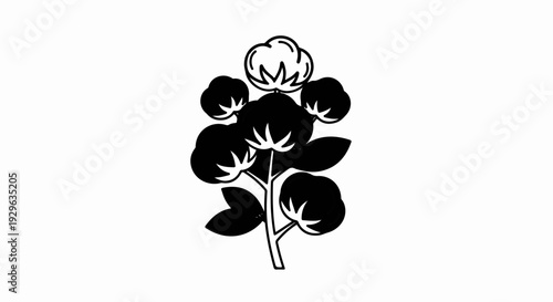 Stylized black and white illustration of a cotton plant with fluffy bolls and leaves