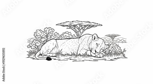 A peaceful lioness sleeps under a large acacia tree on the savanna