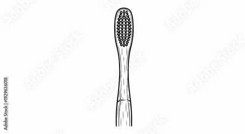 A black and white line drawing of a toothbrush head with bristles