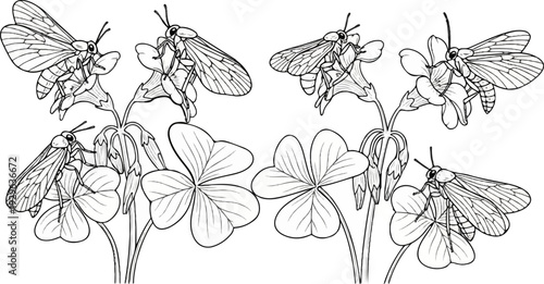 Five delicate insects with patterned wings alight on blooming wildflowers