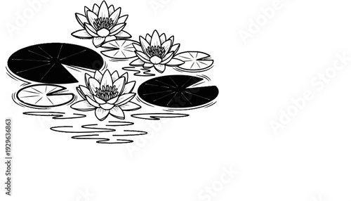A serene black and white illustration of three water lilies floating on rippling water