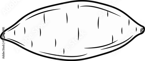 A hand-drawn black and white outline of a single sweet potato