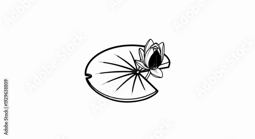 Black and white illustration of a lotus flower on a lily pad