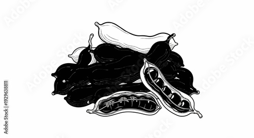 Black and white illustration of a pile of opened and closed bean pods with visible seeds