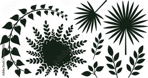 Dark green leafy plant silhouettes on white background leaves plants