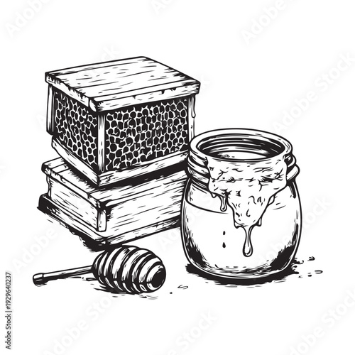 Vintage honey jar with dipper and honeycomb, still life, hand drawn style, graphic art