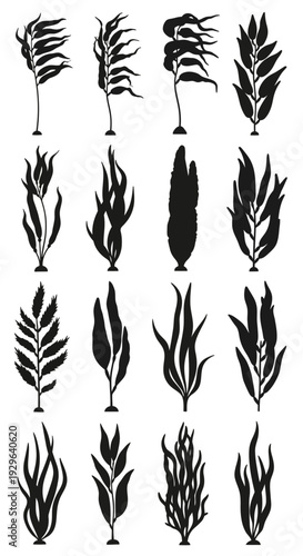 Set of 16 black seaweed and kelp plant silhouettes vector