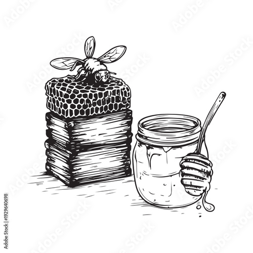 Vintage honey jar with dipper and honeycomb, still life, hand drawn style, graphic art
