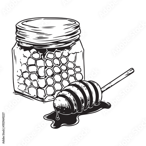 Vintage honey jar with dipper and honeycomb, still life, hand drawn style, graphic art