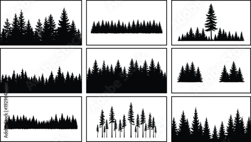 Pine tree forest silhouette set, evergreen woodland collection, black vector illustration, nature landscape, isolated design element bundle pack