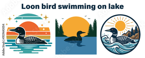 Vibrant loon bird swimming serenely on tranquil lake