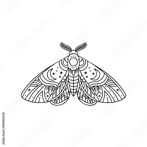 A delicate butterfly with intricate patterns and designs is centered in an illustration showcasing its beautiful wings and details.