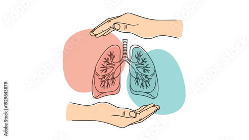 Illustration of human lungs protected between two caring hands with soft colored background shapes for health and wellness.
