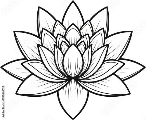 Elegant black and white lotus flower design