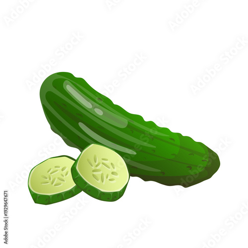 Vector fresh cucumber with two slices for food design, packaging, menu, grocery branding, healthy lifestyle concepts and farm products