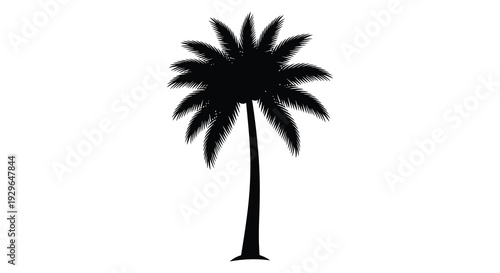 A striking black silhouette of a tall palm tree with fully extended fronds against a plain white background silhouette