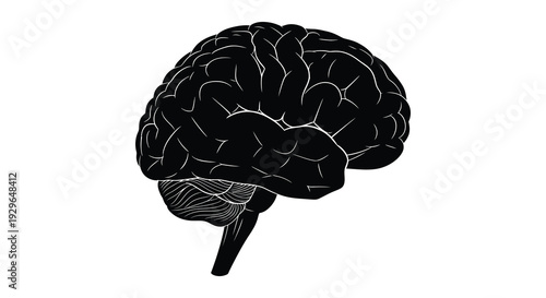 A striking black silhouette of a human brain showcasing complex convolutions and neural structures silhouette high quality professional detailed