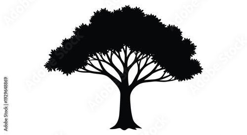 A striking dark silhouette of a mature tree with a full canopy and detailed branching a natural form silhouette