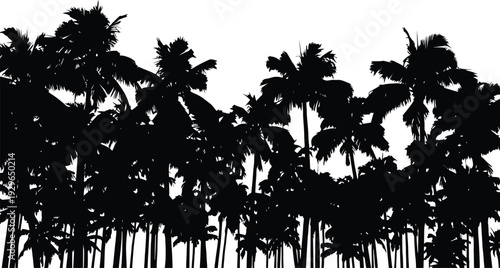 Silhouette of palm trees against a white sky on a tropical island