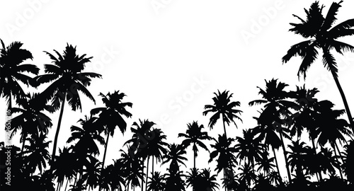 Silhouette of tropical palm trees against a bright white sky