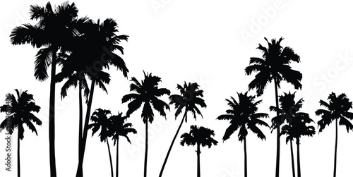 Silhouette of a group of tall palm trees against a white background