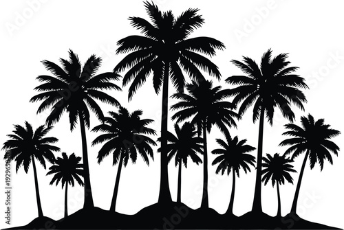 Tropical palm tree silhouette landscape