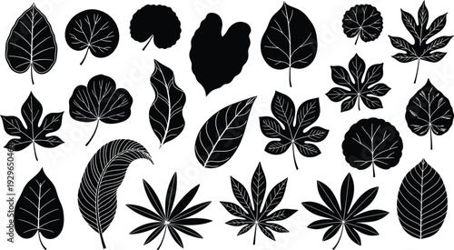 Collection of various leaf shapes and types in black silhouette on white background