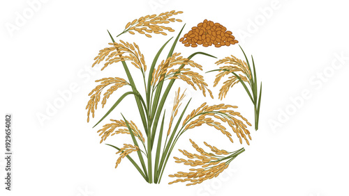 Circular arrangement of mature rice stalks and harvested grains illustrating agricultural bounty, farming, and natural food sources.